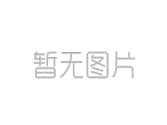 廢電容破碎分選機
